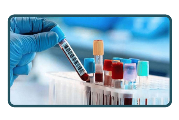 Laboratory